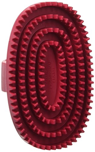 123681