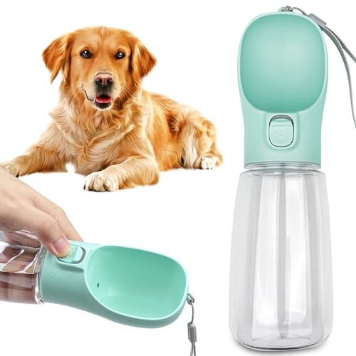 126177