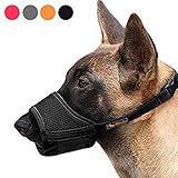 126543
