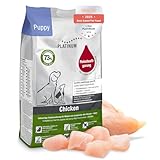 13011