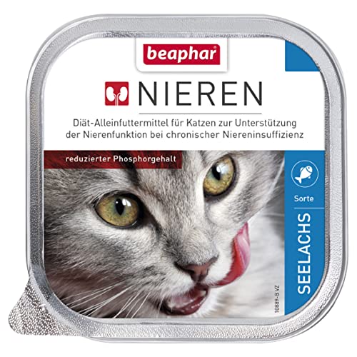 13854