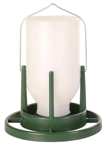 13956