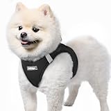 14164