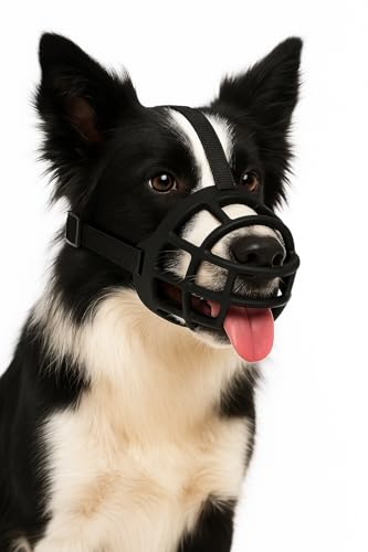 14176