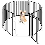 15551
