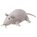 20290