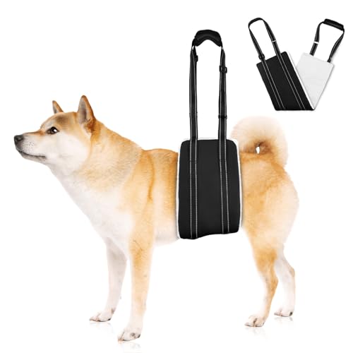 20853