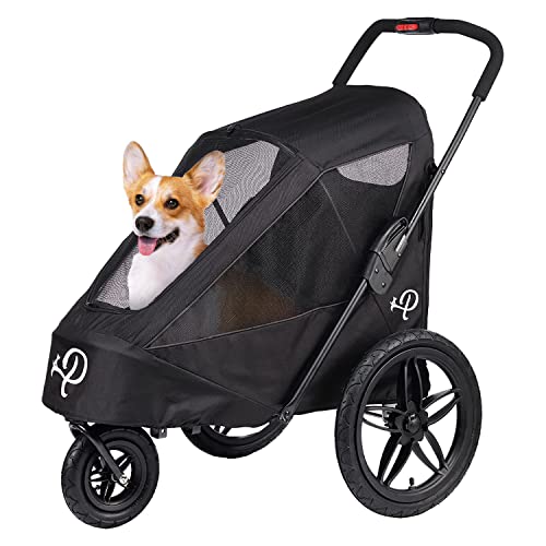 24230