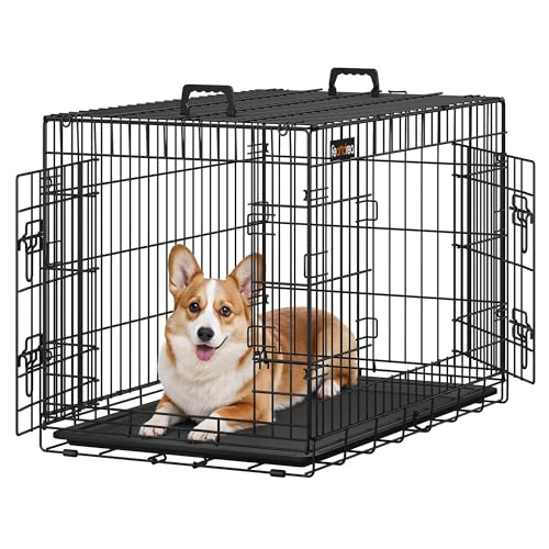 24733