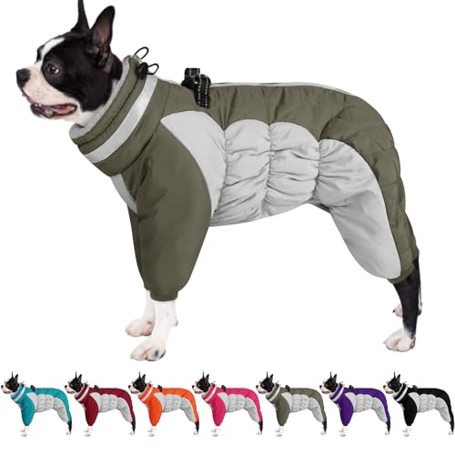 24858