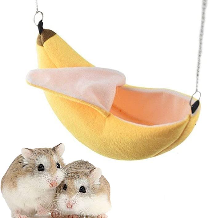 26284