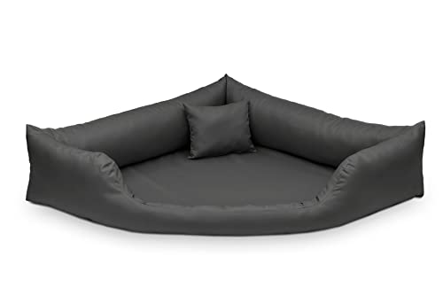 26365