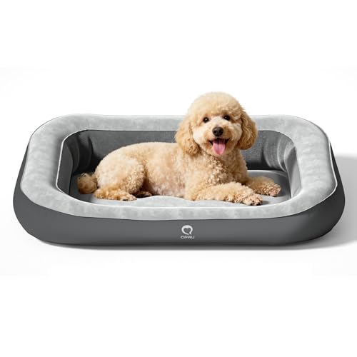 26545