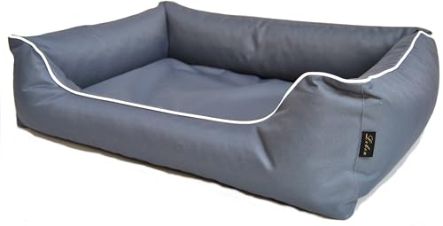 26569