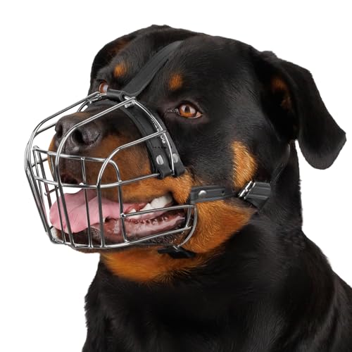 28505