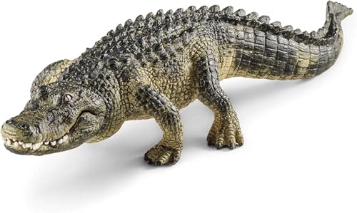 29038