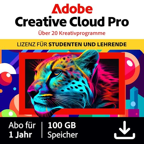 29300