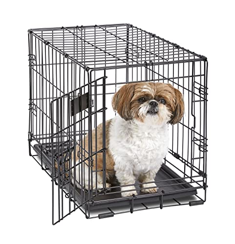 3162