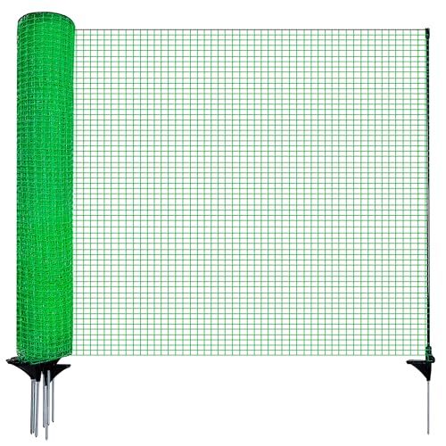 3464