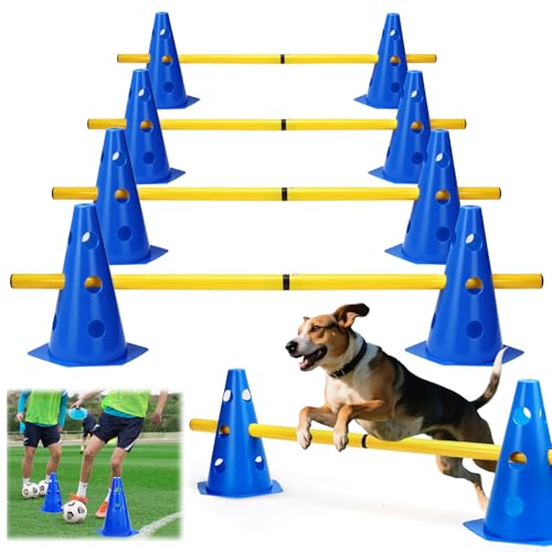 4448