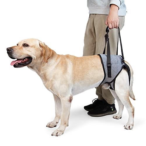 5069