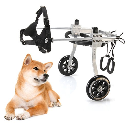 5193