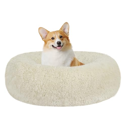 68320
