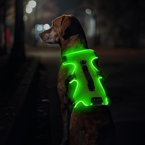 69306