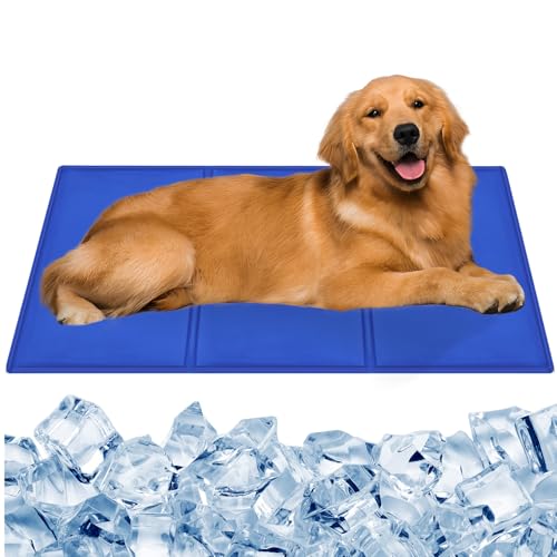 69968