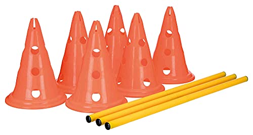 70043