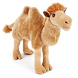 70895