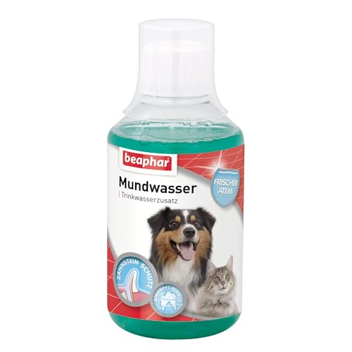 71114