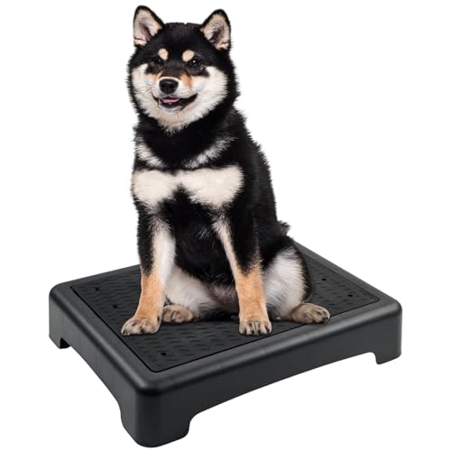 78187