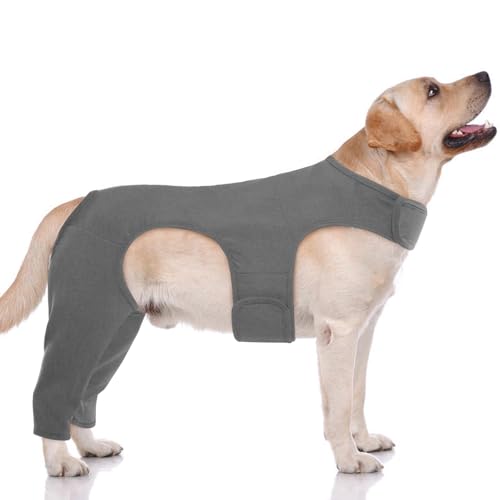 84037