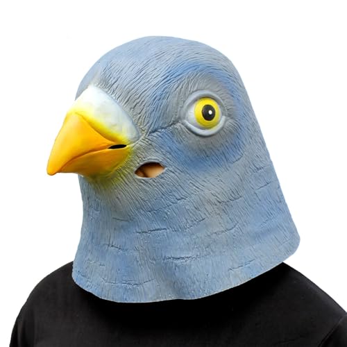 84408