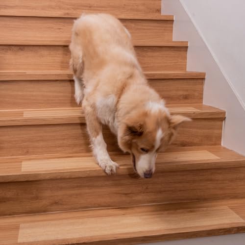 84964